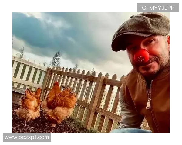 哪个足球明星在养鸡方面最具实力与成就揭秘