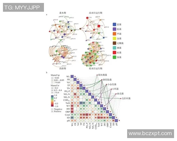 成都足球队在大师赛中的速度优势分析与表现点评